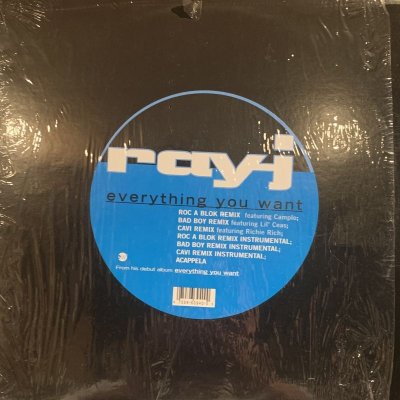 画像1: Ray J feat. Camp Lo - Everything You Want (Roc A Blok Remix) (12'') (ピンピン！！)