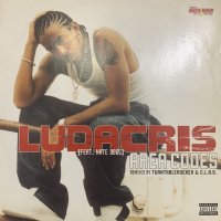 Ludacris feat. Nate Dogg - Area Codes (Turntablerocker Rmx) (12'')