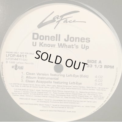 画像1: Donell Jones feat. Left Eye - U Know What's Up (12'') (キレイ！！)