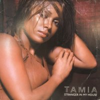 Tamia - Stranger In My House (12''×2) (レアなジャケ付き！)