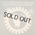 The Brand New Heavies - You Are The Universe (12'')