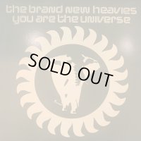 The Brand New Heavies - You Are The Universe (12'')