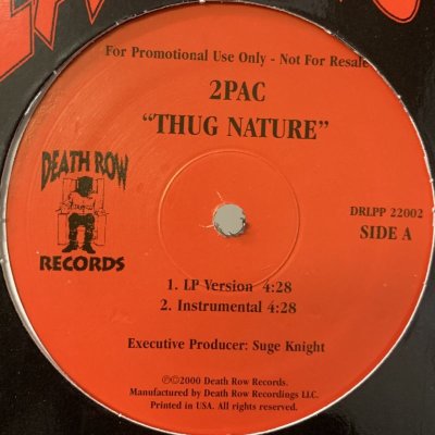 画像1: 2Pac - Thug Nature (12'') (キレイ！！)