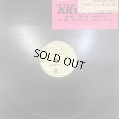 画像1: Akinyele - Ak Ha Ha! Ak Hoo Hoo? (12'') (US Promo !!)