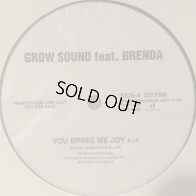 画像1: Grow Sound feat. Brenda - You Bring Me Joy (12'') (キレイ！)