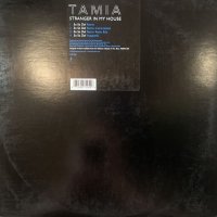 Tamia - Stranger In My House (12'')