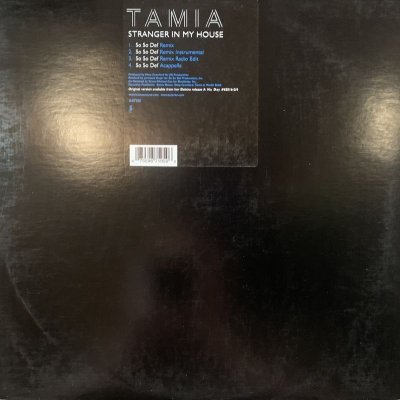 画像1: Tamia - Stranger In My House (12'')
