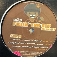 Various - Fillin' Tha Gap Volume 37 (inc. Justin Timberlake feat. T.I. - My Love, Janet Jackson feat. Khia - So Excited, Akon feat. Snoop Dogg - I Wanna Love You and more) (12') 