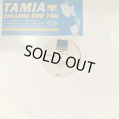 Tamia - Falling For You (200X Remix)