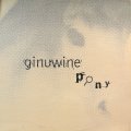 Ginuwine - Pony (UK Remixes) (12'') (キレイ！！)