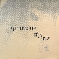 Ginuwine - Pony (UK Remixes) (12'') (キレイ！！)