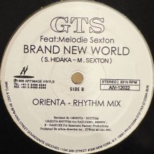他の写真1: GTS feat. Melodie Sexton - Brand New World (12'')