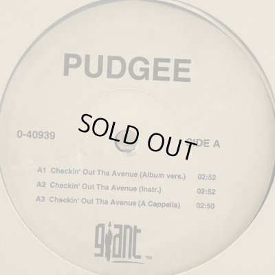 画像1: Pudgee Tha Phat Bastard - Checkin' Out The Ave. (12'')