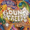 Bob Sinclar & Cutee B. feat. Dollarman & Gary Pine - Sound Of Freedom (Everybody's Free) (12'') (キレイ！！)