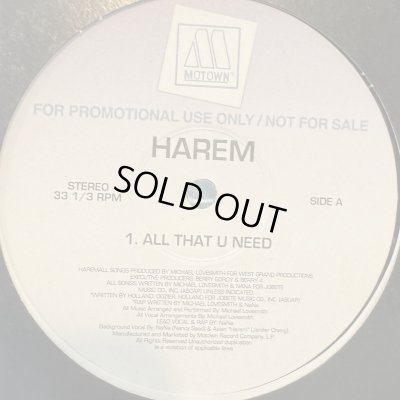 画像1: Harem - All That U Need (12'') (EP) (キレイ！！)
