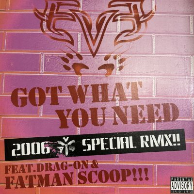 画像1: Eve feat. Drag-On & Fatman Scoop - Got What You Need (2006 AV8 Special Remix) (12'') (キレイ！！)