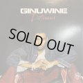 Ginuwine - Differences (inc. Kenny Diaz Mix !!) (12'') (キレイ！！)
