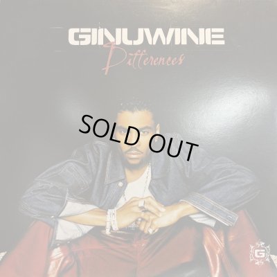 画像1: Ginuwine - Differences (inc. Kenny Diaz Mix !!) (12'') (キレイ！！)