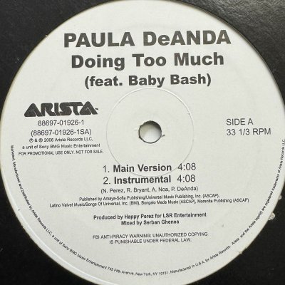 画像1: Paula DeAnda feat. Baby Bash - Doing Too Much (12'') (ピンピン！！)