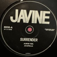 Javine - Surrender (Your Love) (Max & Paddy Remix) (12'') (キレイ！！)