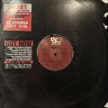 Janet Jackson - Doesn't Really Matter (12'') (激レアUS Promo !!)