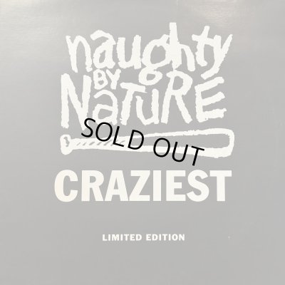 画像1: Naughty By Nature - Craziest (Salaam Remi Remix) (12'')