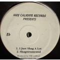 The Labrat - I Just Shag A Lot (12'') (キレイ！！)
