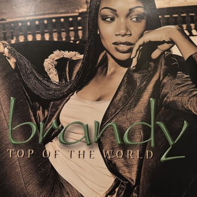 画像1: Brandy - Top Of The World (Boogiesoul Remix) (12'') (キレイ！！)