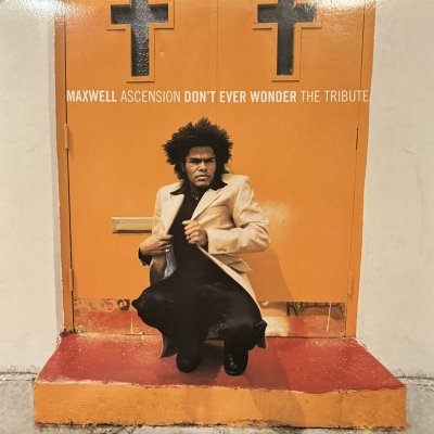 画像1: Maxwell - Don't Ever Wonder (12'')