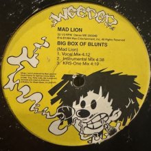 他の写真1: Mad Lion - Take It Easy (12'')