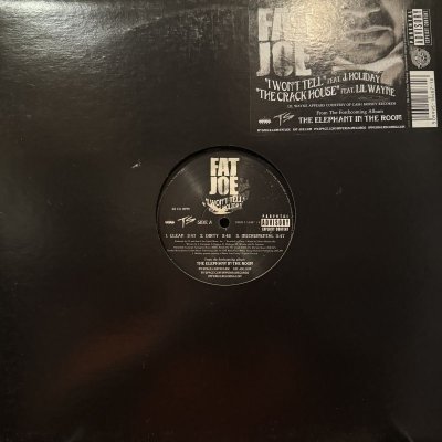 画像1: Fat Joe feat. J. Holiday - I Won't Tell (12'') (キレイ！！)