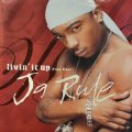 Ja Rule feat. Case – Livin' It Up / Put It On Me (Remix) (12'') (レアなジャケ付き！！) (キレイ！！)