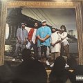 Terror Squad - True Story (2LP)