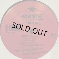 Jemtone - Into The Music (12'') 