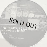 The Notorious B.I.G. feat. Faith Evans - Party & Bullshit Pt II (b/w I Love The Dough feat. Jay-Z) (12'') (キレイ！！)