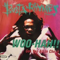 Busta Rhymes - Woo-Hah!! Got You All In Check (12'') (キレイ！！)