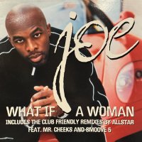 Joe - What If A Woman (12'') (レアなジャケ付きEU盤！！)