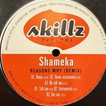 他の写真1: Shameka  - Reasons Why (Remix) (12'')