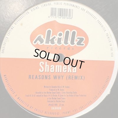 画像1: Shameka  - Reasons Why (Remix) (12'')