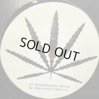 Wayne Marshall - Ganja (12'')