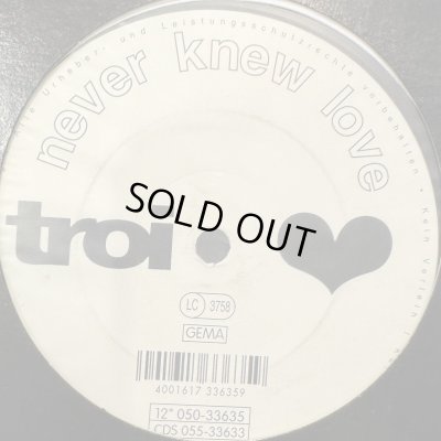 画像1: Troi - Never Knew Love (12'')