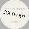 Grow Sound with Brenda - Why (12'')