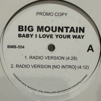 Big Mountain - Baby I Love Your Way (12'') (inc. Album Version !!!)