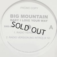 Big Mountain - Baby I Love Your Way (12'') (inc. Album Version !!!)