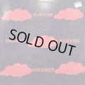 Sunvibe - Dreamer (12'') (キレイ！！)