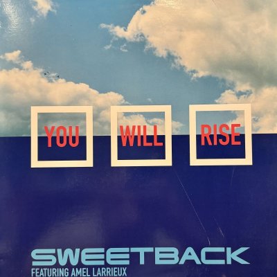 画像1: Sweetback feat. Amel Larrieux - You Will Rise (12'') (キレイ！！)