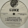 Luke feat. The Notorious B.I.G. - Bust A Nut (12'') (キレイ！！)