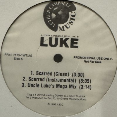 画像1: Luke feat. The Notorious B.I.G. - Bust A Nut (12'') (キレイ！！)