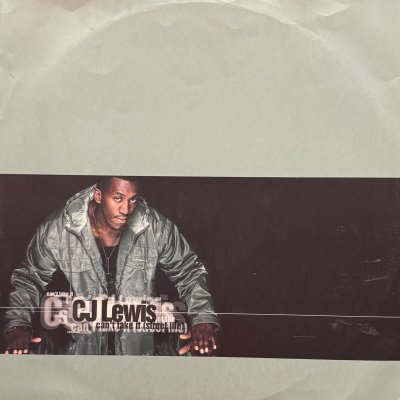 画像1: CJ Lewis - Can't Take It (Street Life) (12'')