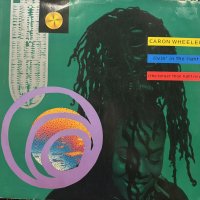 Caron Wheeler - Livin' In The Light (Remix) (12'') 